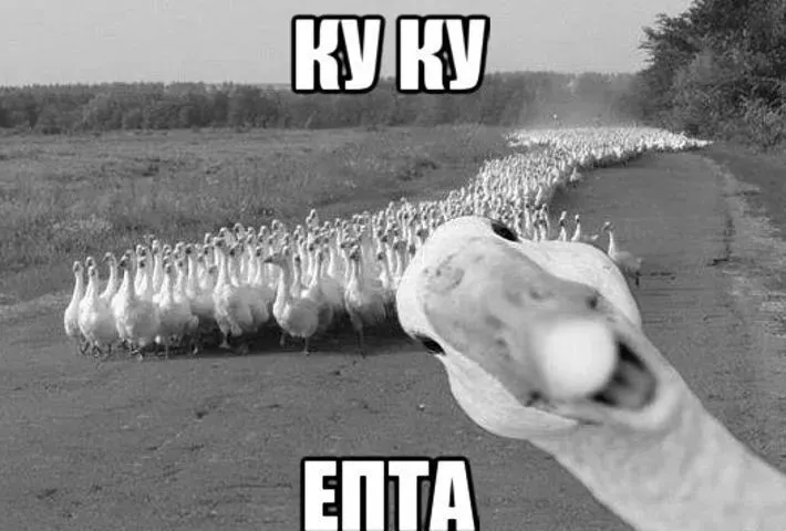 Ку-ку