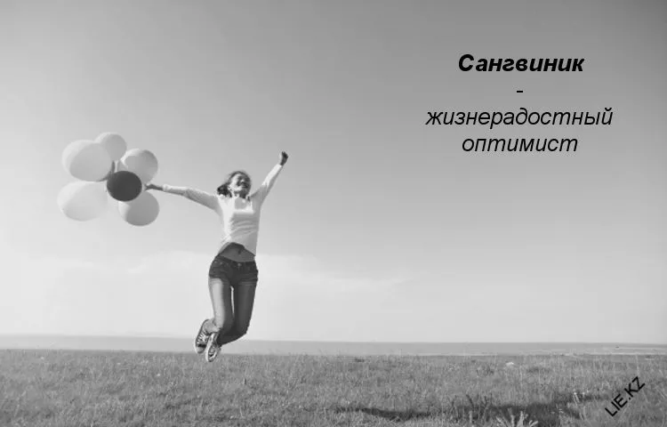 Сангвиник: тип темперамента и его характеристика