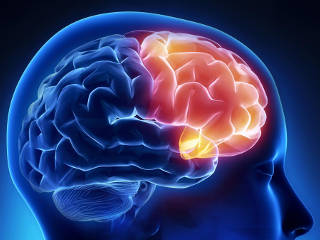 Мозг трудоустроенных людей быстрее восстанавливается после инсульта